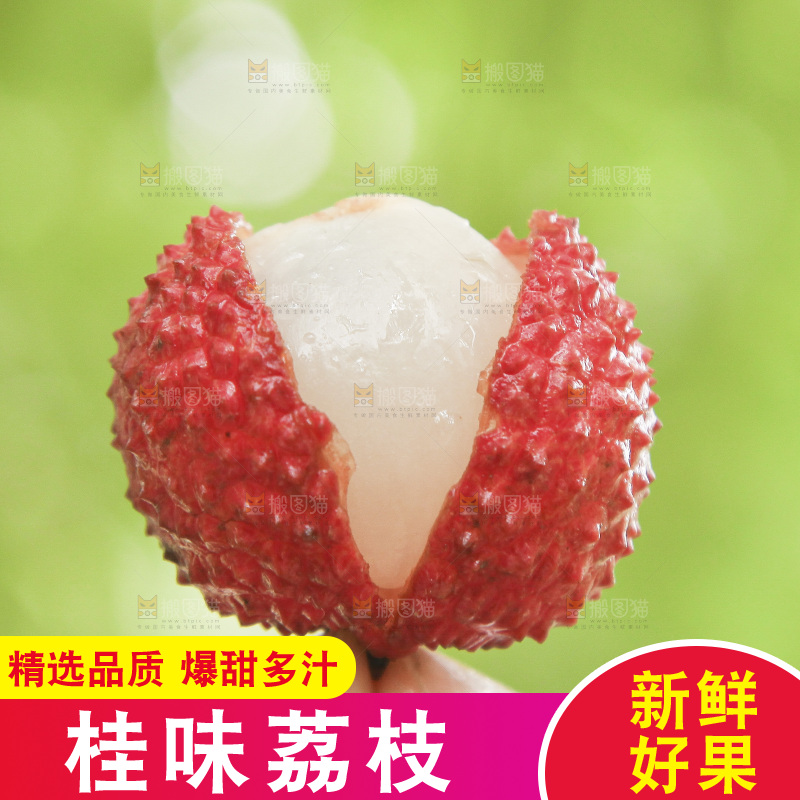 手里拿着桂味荔枝