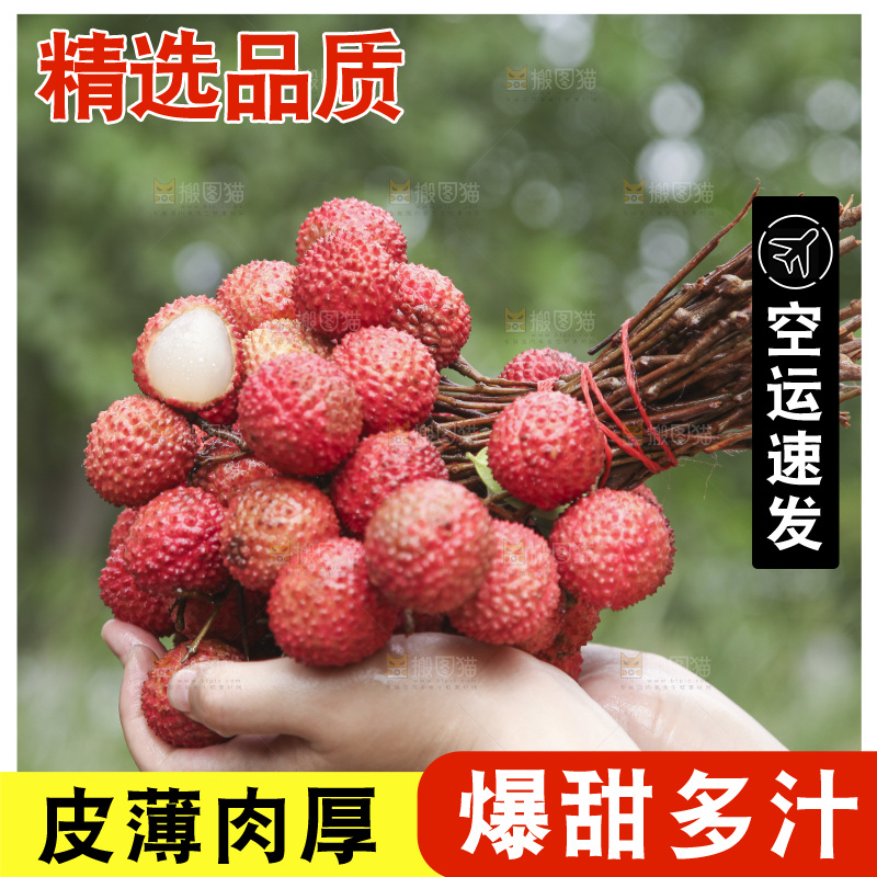 手里拿着一串桂味荔枝