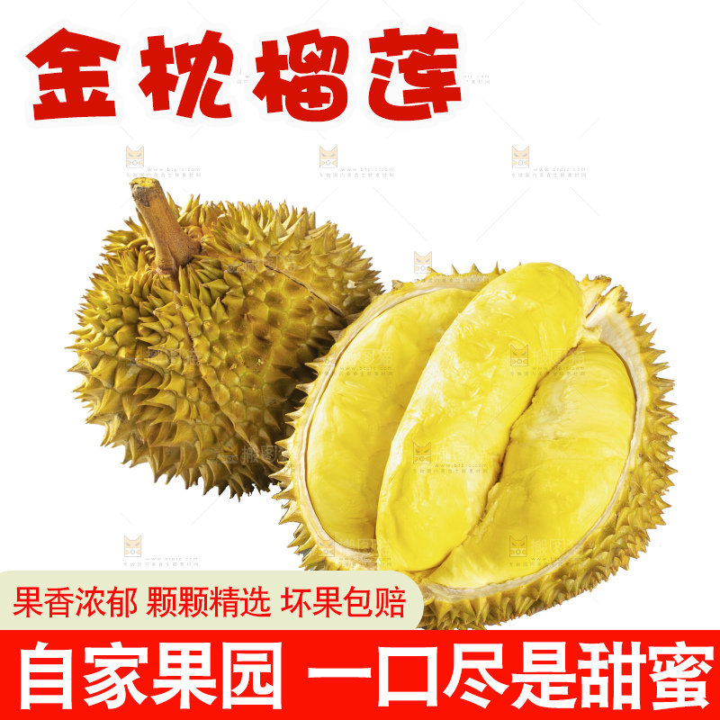 白底上的金枕榴莲