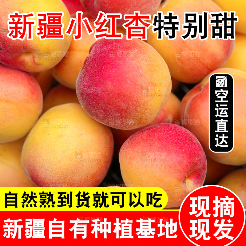 新疆小红杏主图