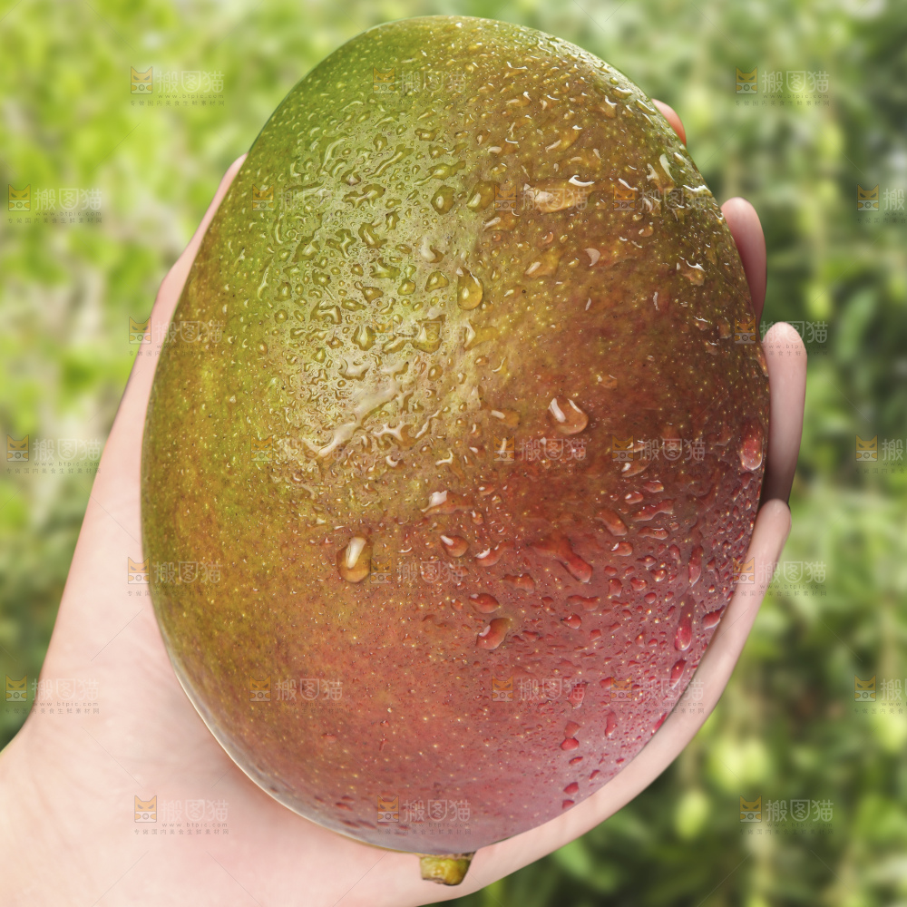 手里拿着凯特芒
