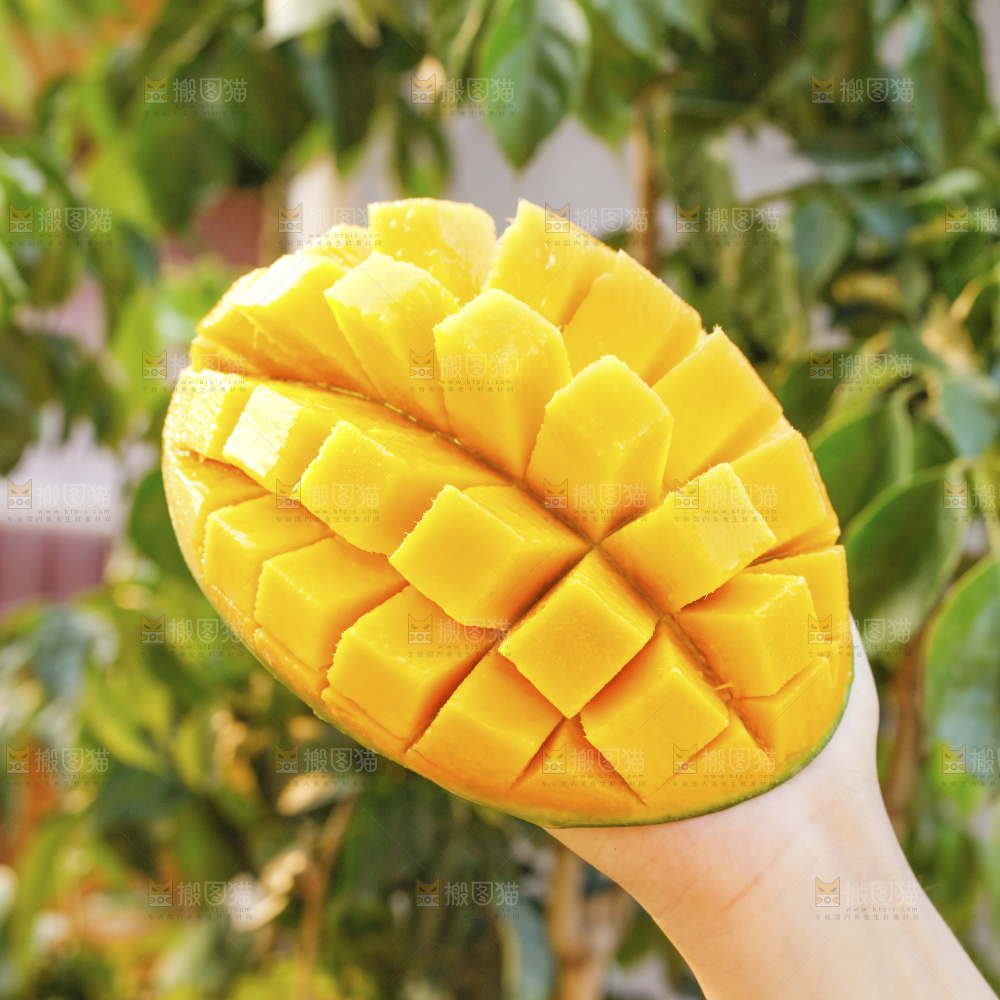 凯特芒