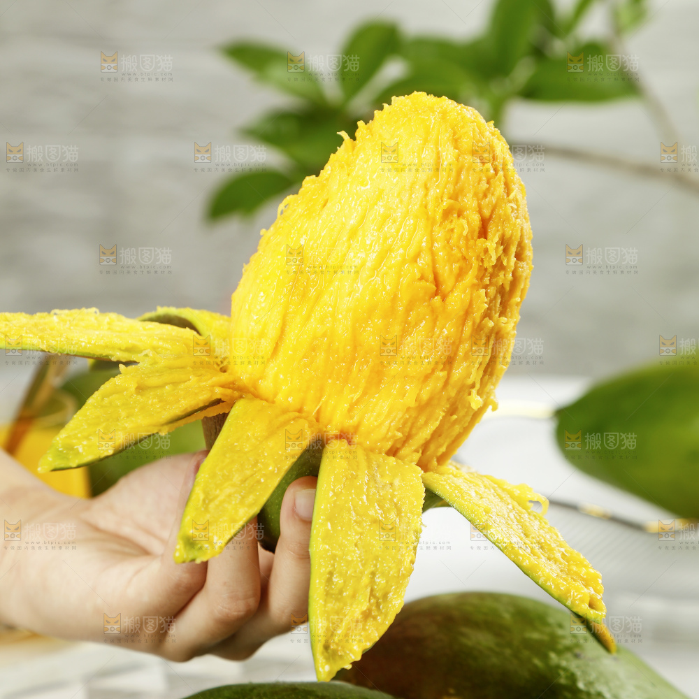 凯特芒