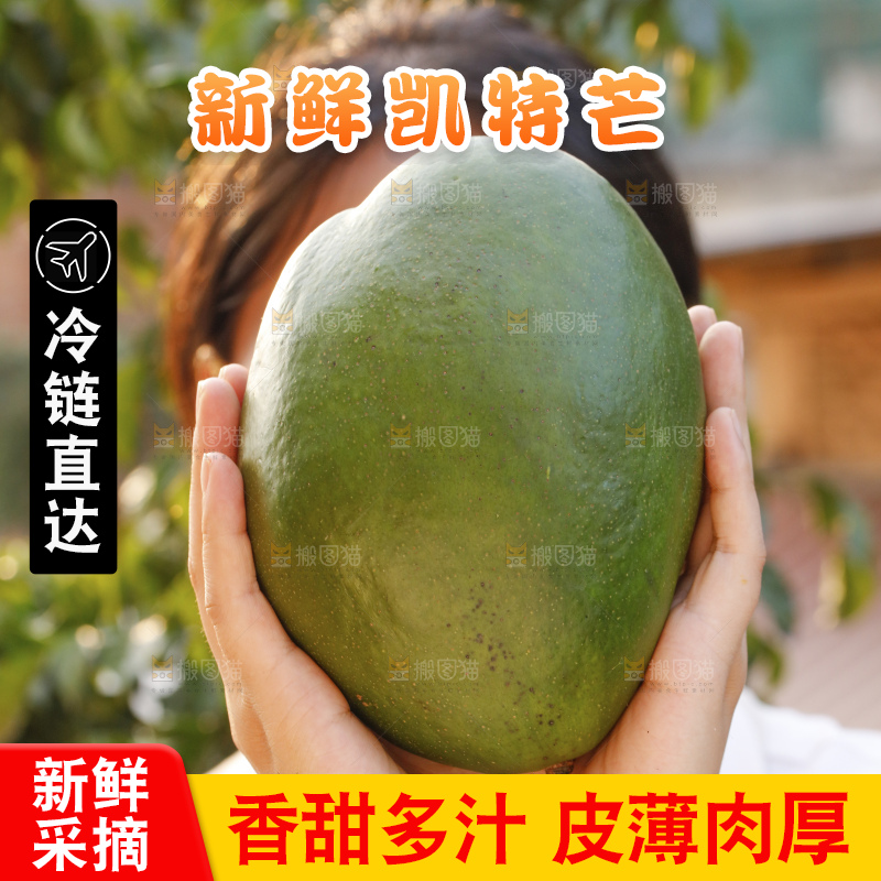 凯特芒主图