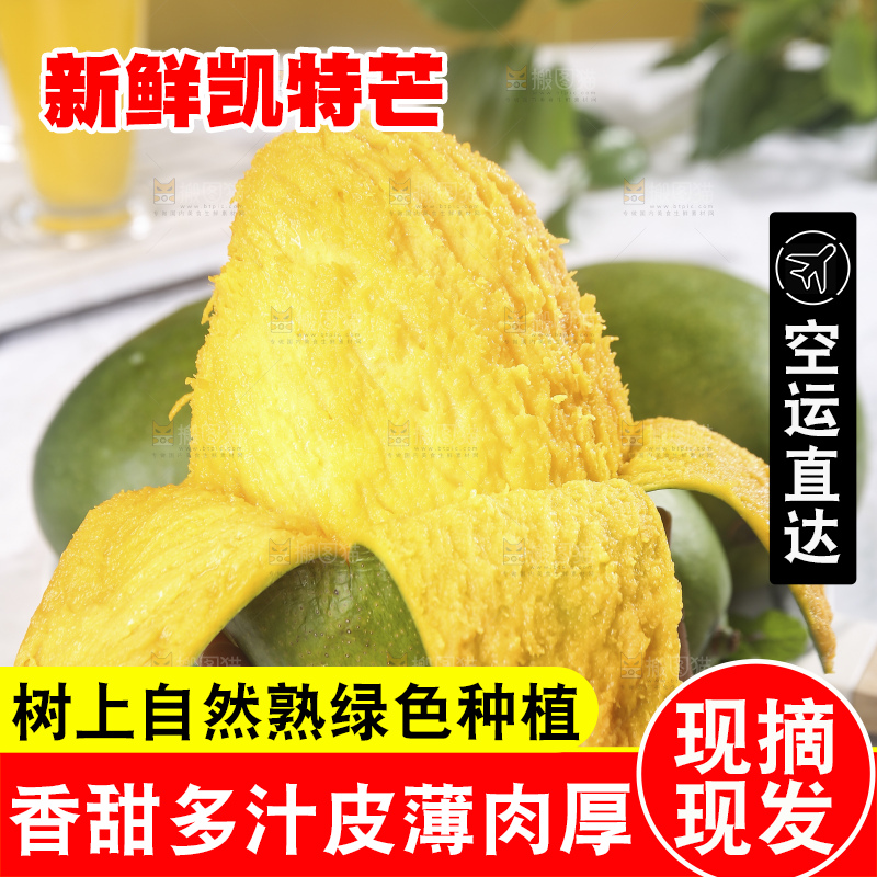 凯特芒主图