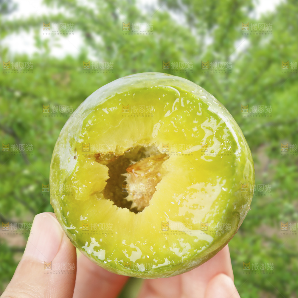手里拿着脱骨李