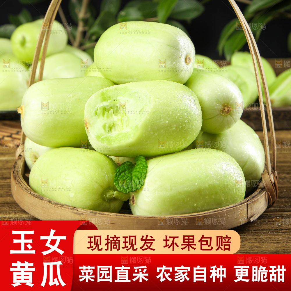 玉女小黄瓜主图