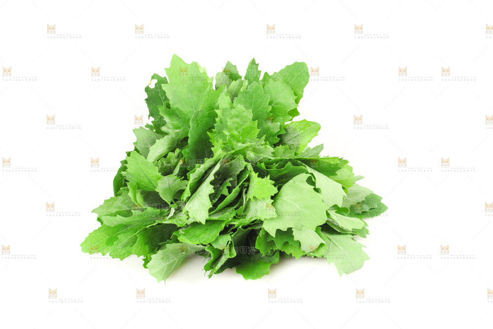 白底上的灰灰菜