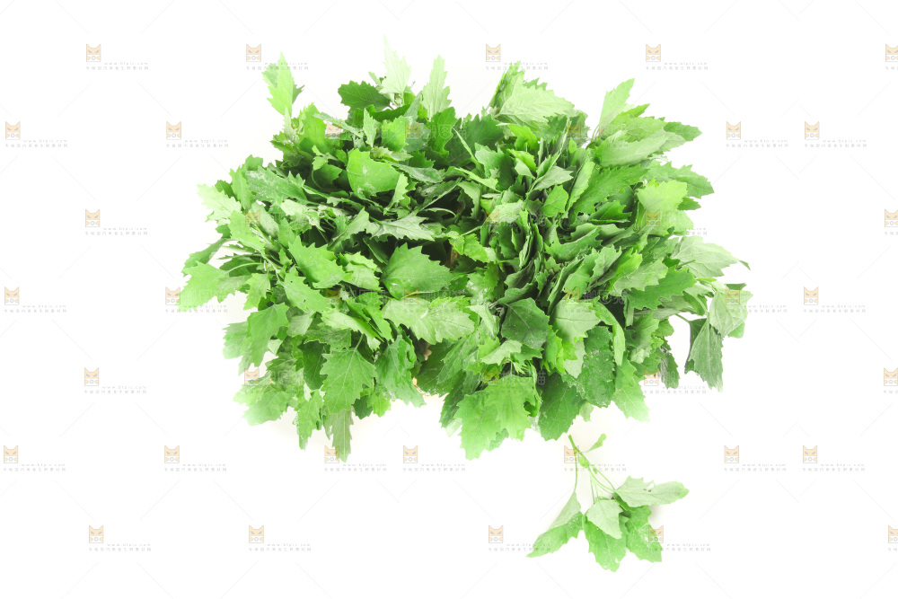 白底上的灰灰菜