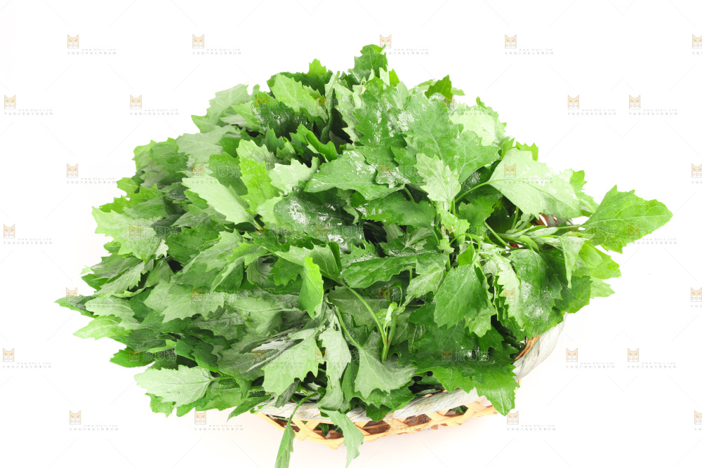 白底上的灰灰菜