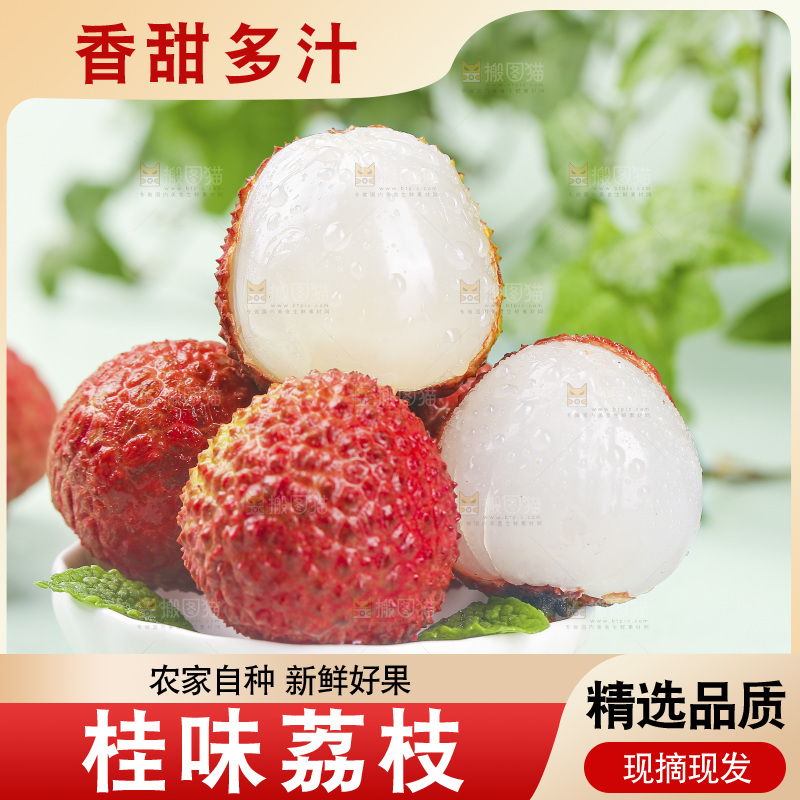 浅底上的桂味荔枝