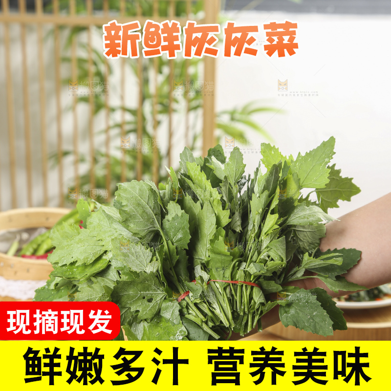 木底上的新鲜灰灰菜