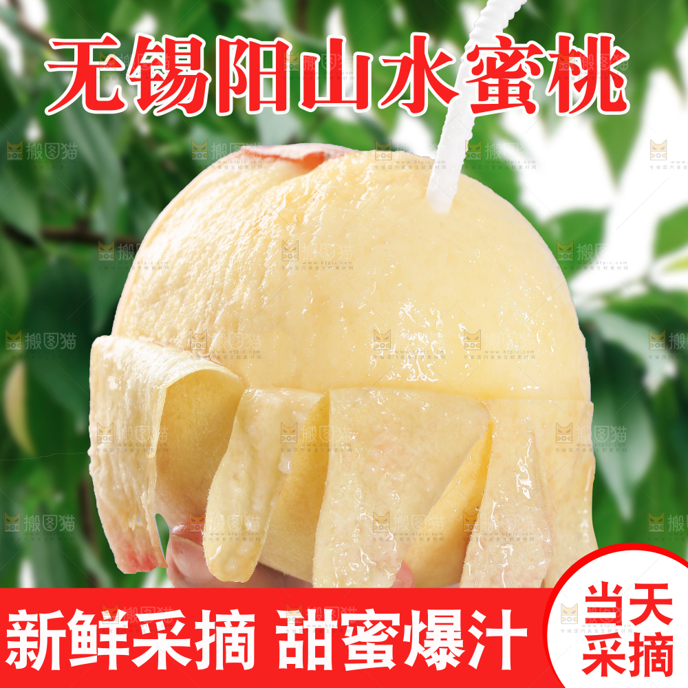 阳山水蜜桃主图