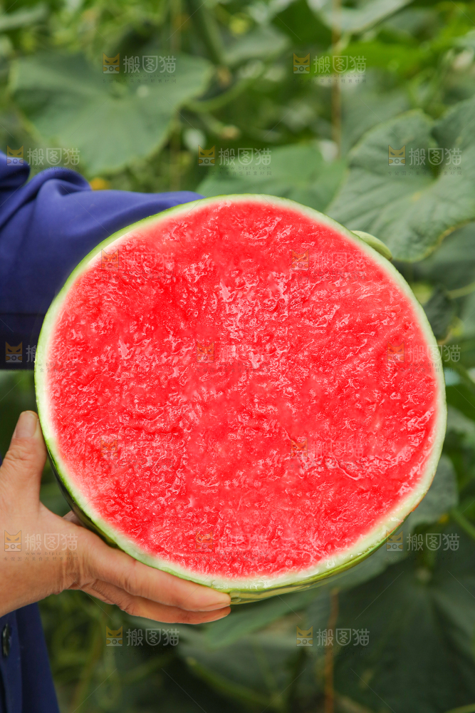 西瓜