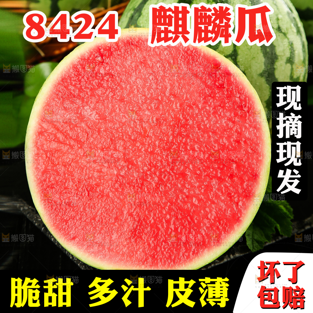 冰糖西瓜主图