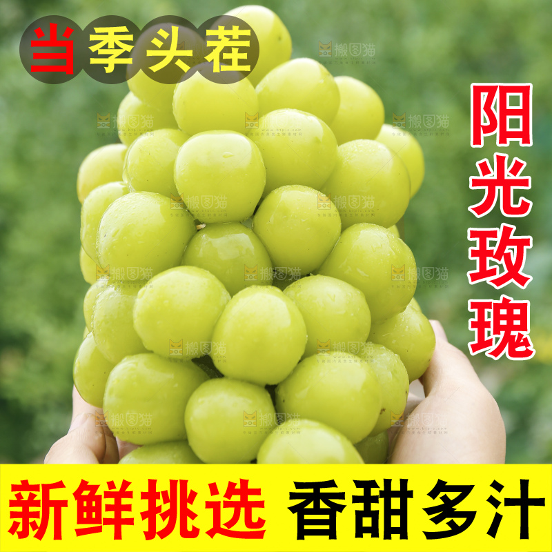 手里拿着阳光玫瑰