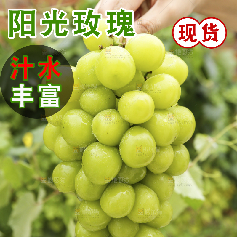 手里拿着阳光玫瑰