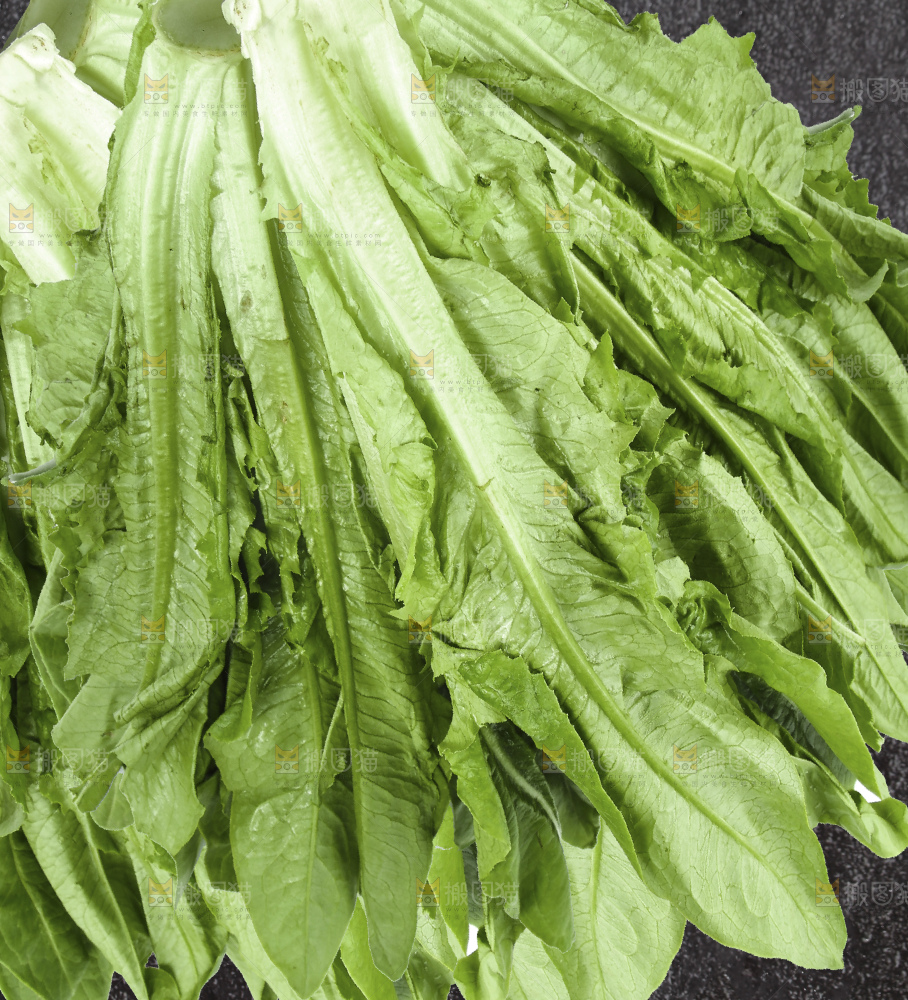 堆放着的新鲜油麦菜