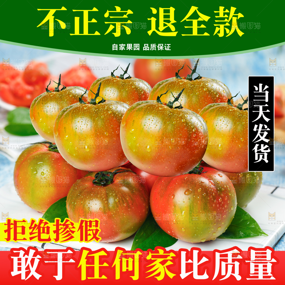 铁皮草莓柿子主图