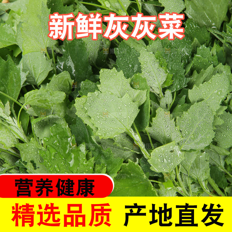 木底上的新鲜灰灰菜