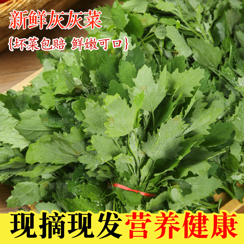 木底上的新鲜灰灰菜