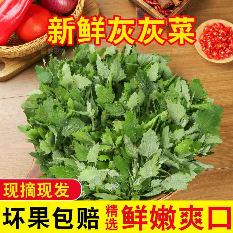 木底上的新鲜灰灰菜