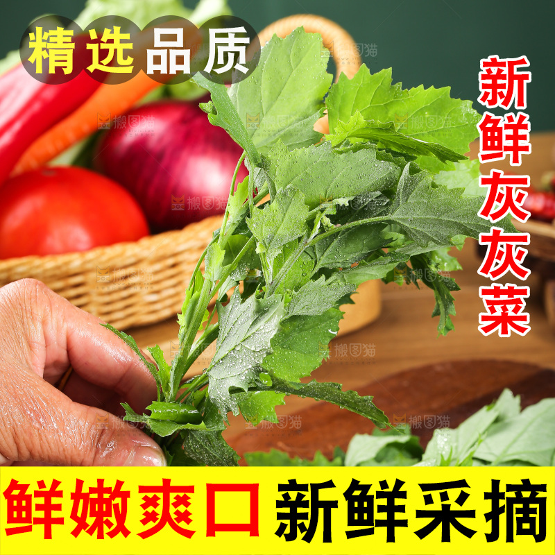 木底上的新鲜灰灰菜