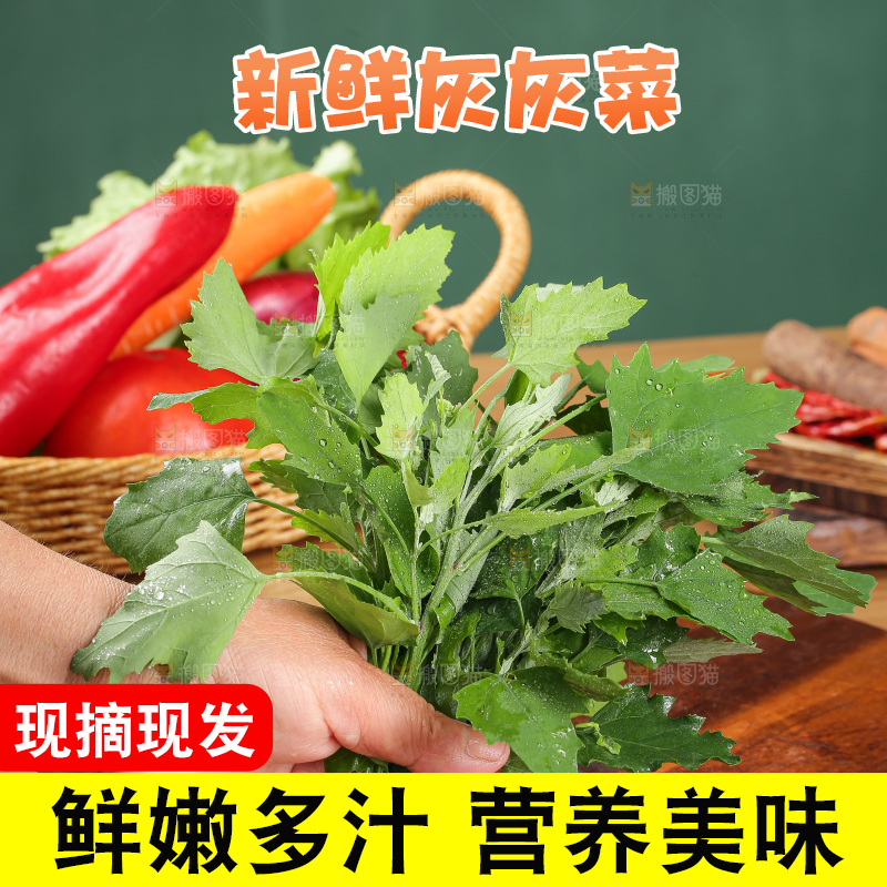 木底上的新鲜灰灰菜