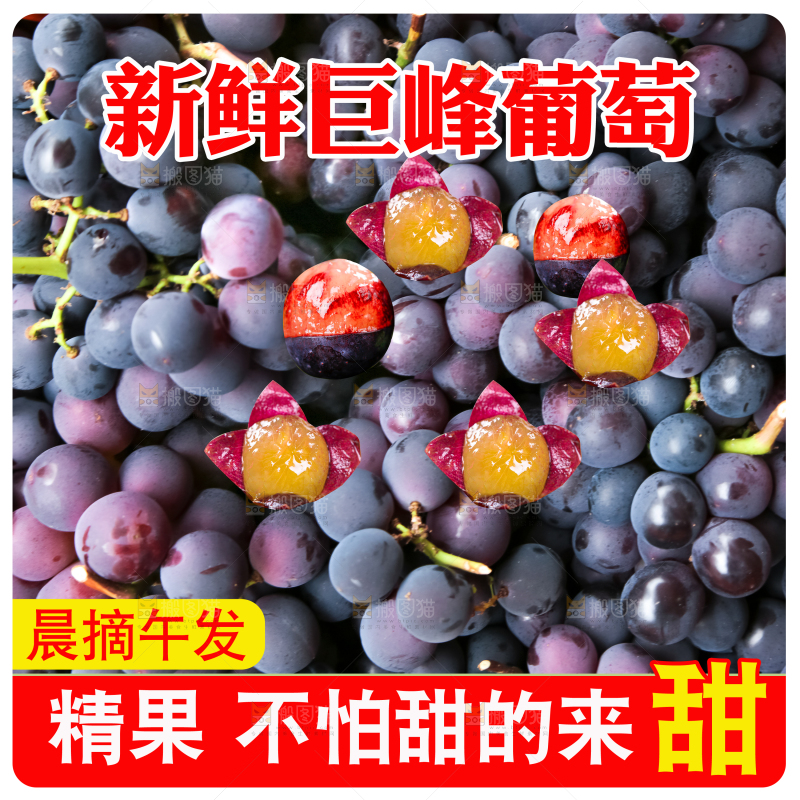 巨峰葡萄主图