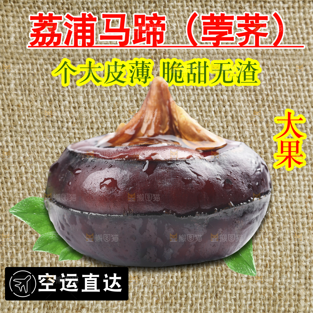 新鲜现挖马蹄