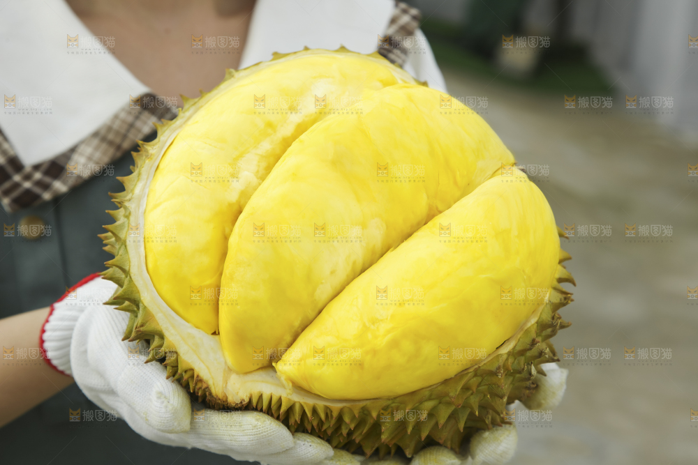 深底上的泰国榴莲