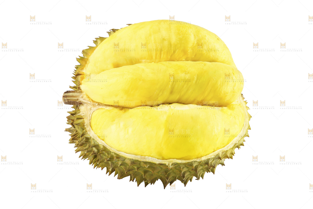 白底上的金枕榴莲