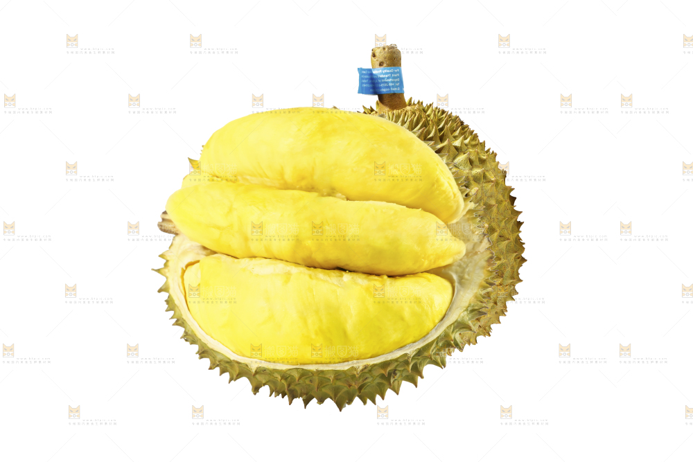 白底上的金枕榴莲