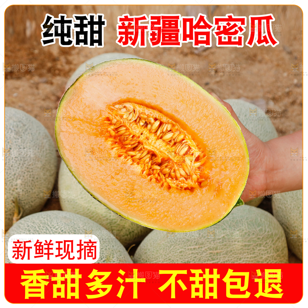 新疆哈密瓜主图