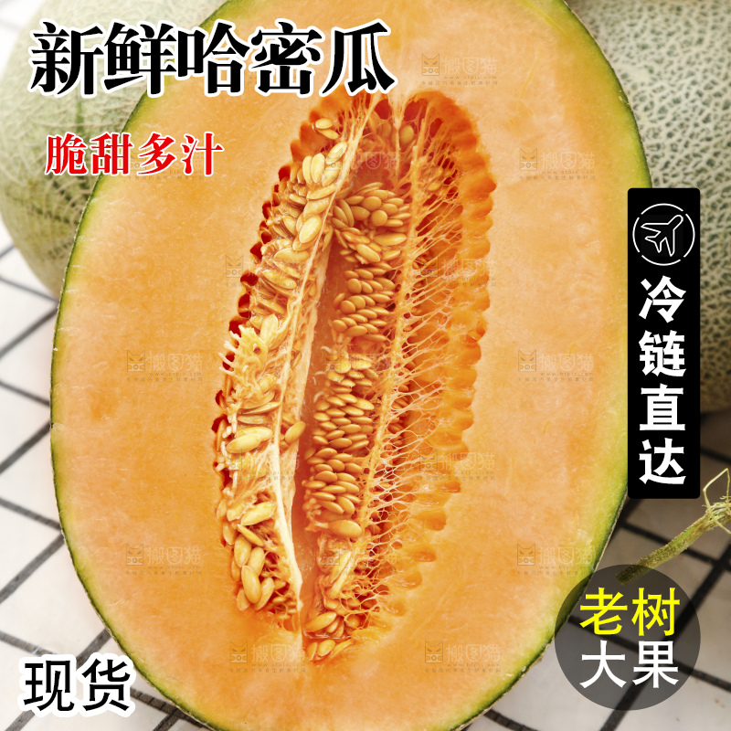 浅底上的新疆哈密瓜