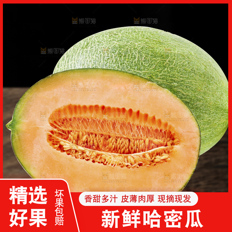 哈密瓜主图