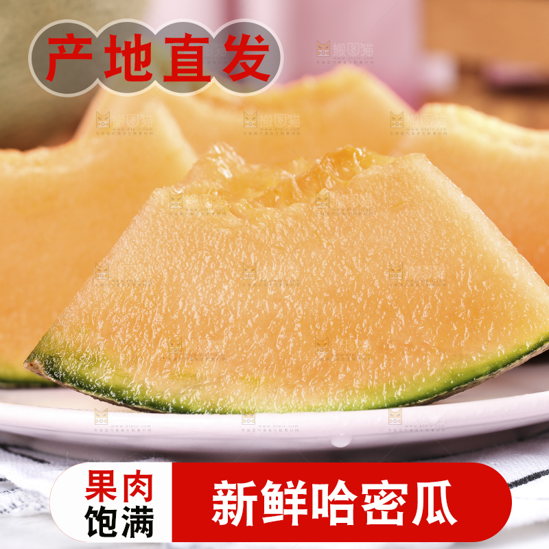 浅底上的新疆哈密瓜