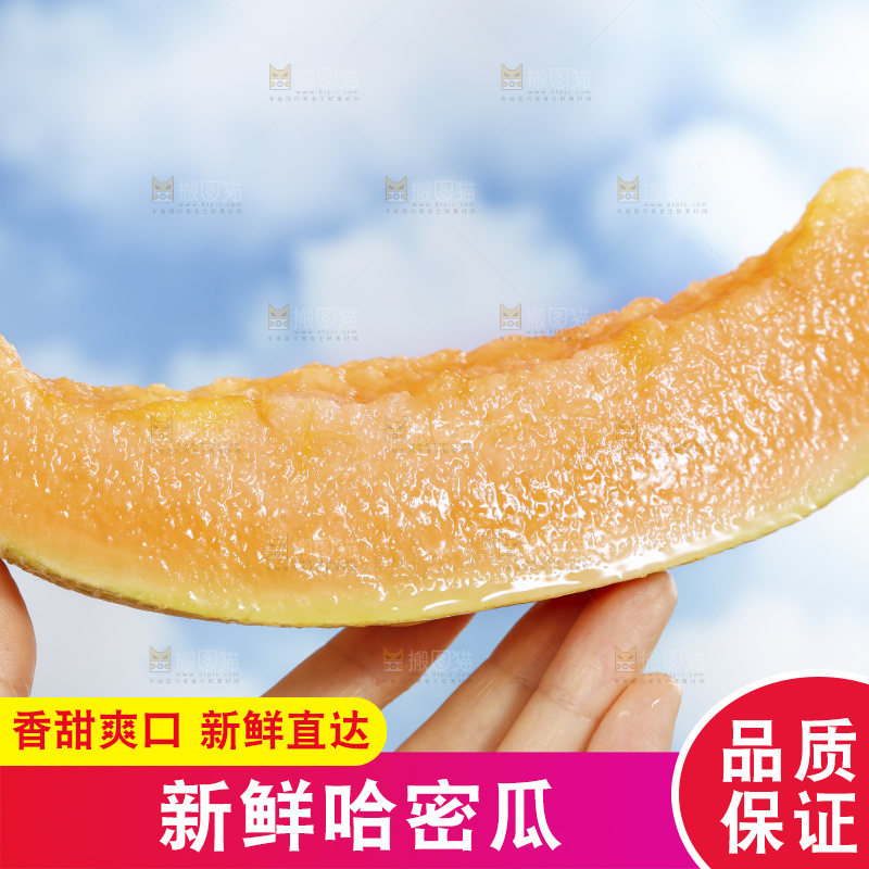 浅底上的新疆哈密瓜