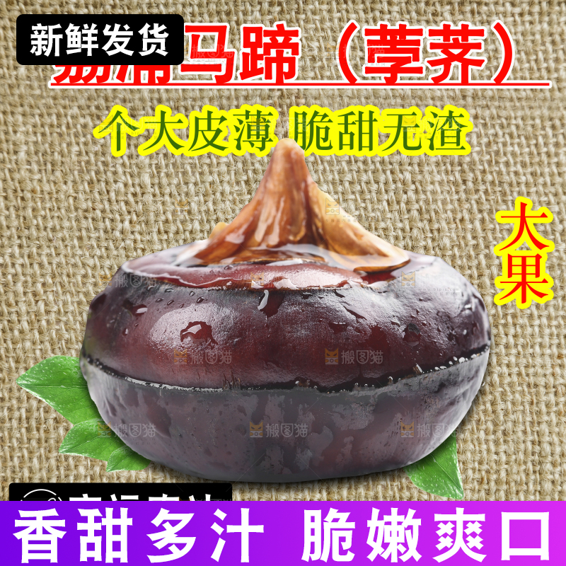 新鲜现挖马蹄