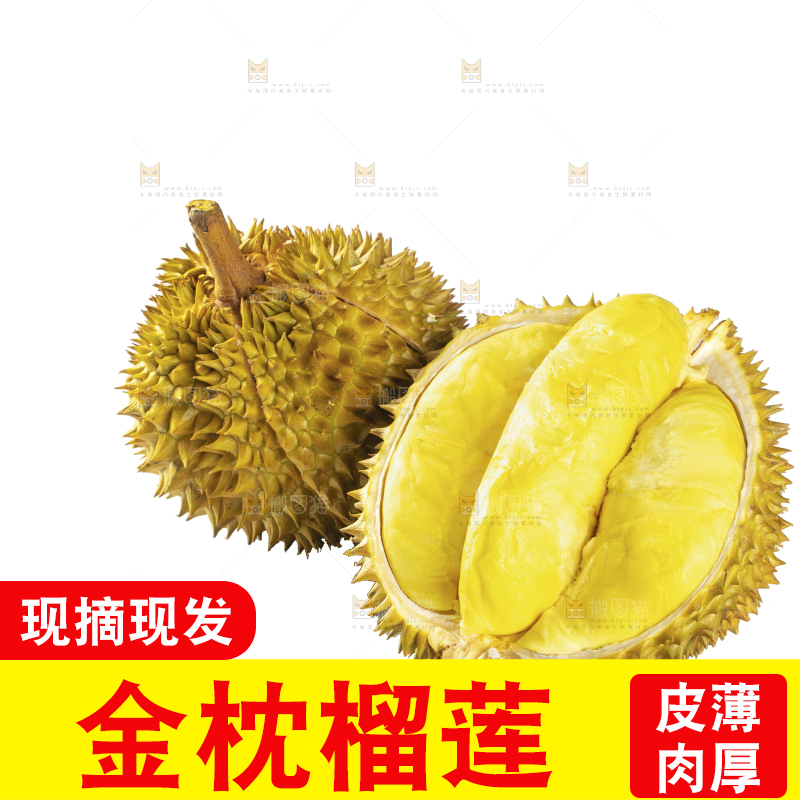 白底上的金枕榴莲