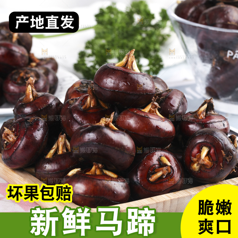 浅底上的马蹄