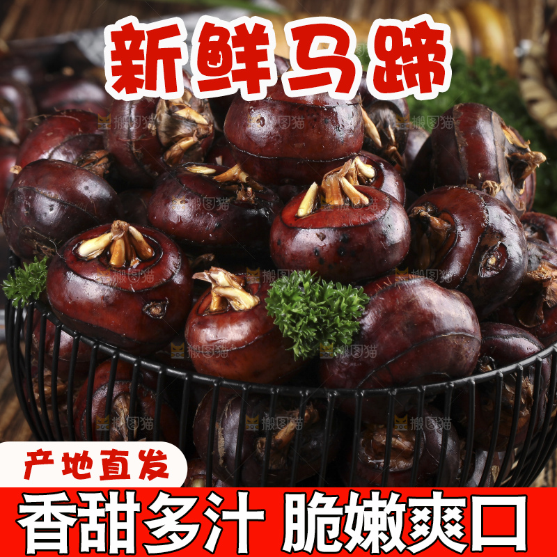 木底上的新鲜马蹄