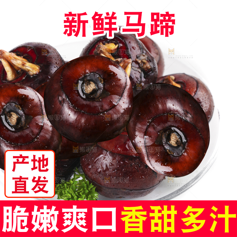 白底上的新鲜马蹄