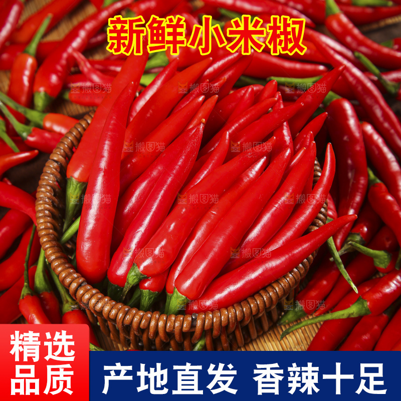堆放着的新鲜小米椒