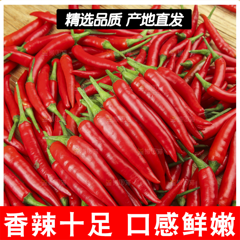 堆放着的新鲜小米椒