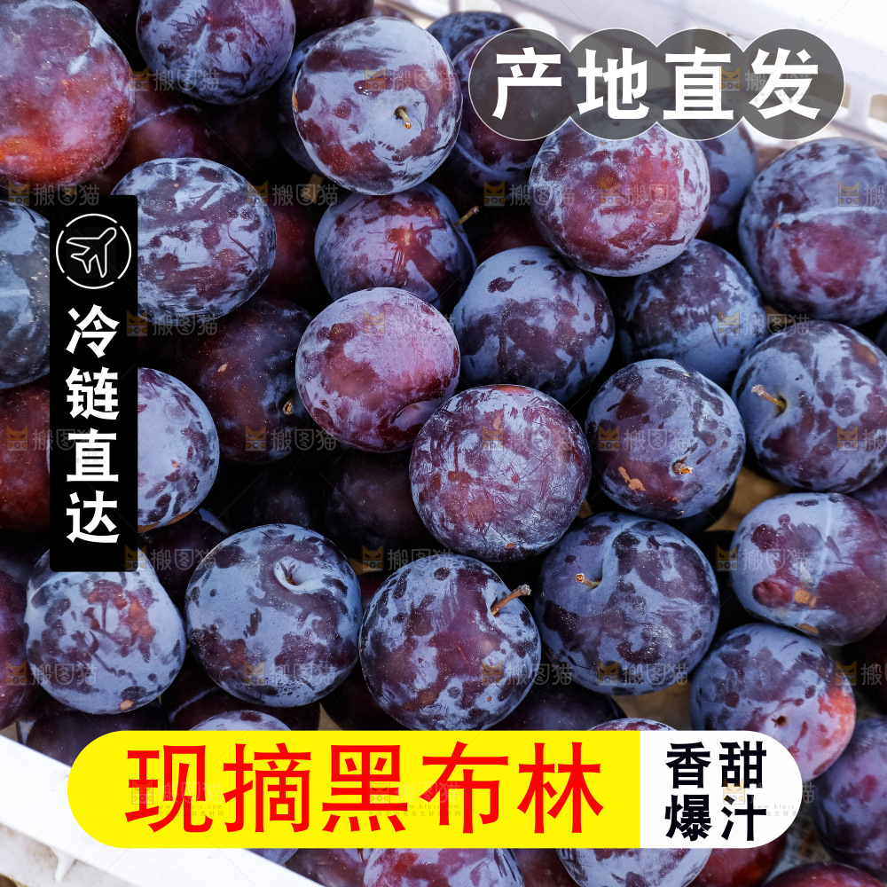 黑布林主图