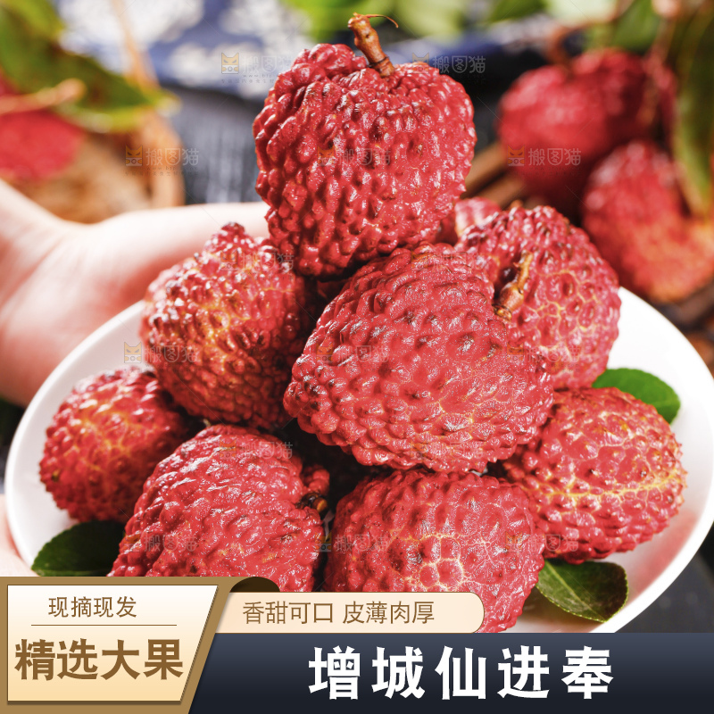 深底上的仙进奉荔枝