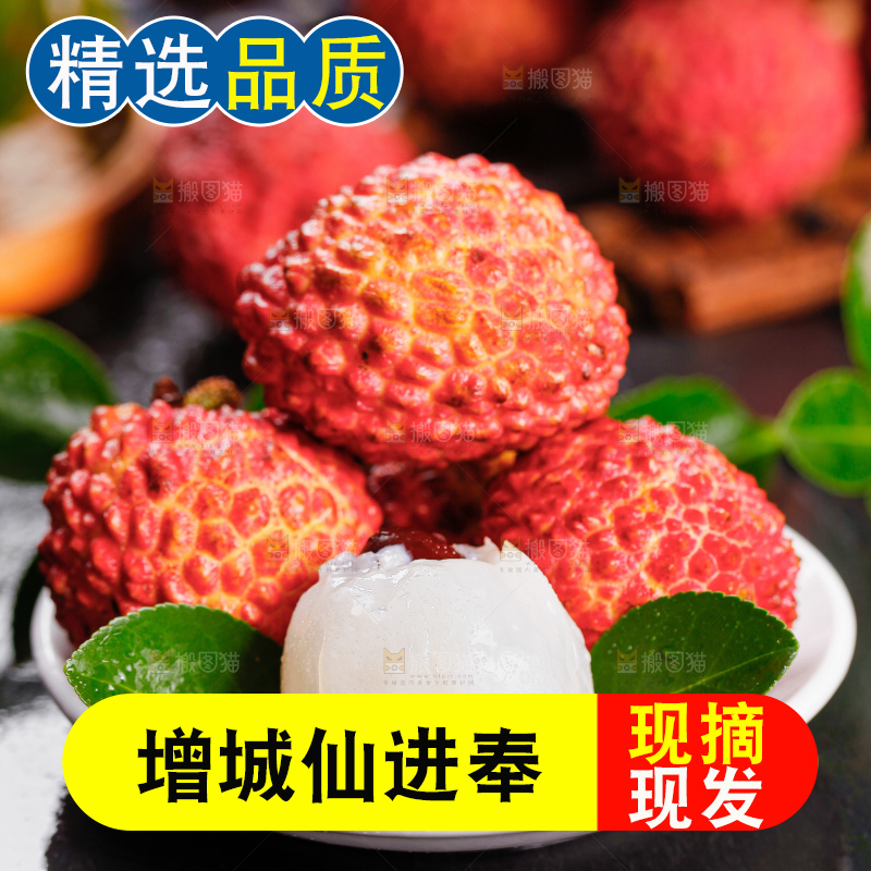 深底上的仙进奉荔枝