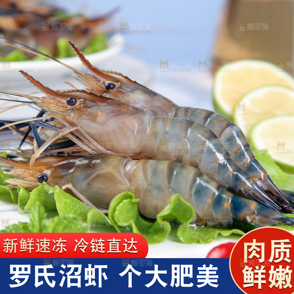 罗氏沼虾主图