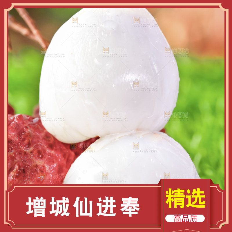 浅底上的仙进奉荔枝